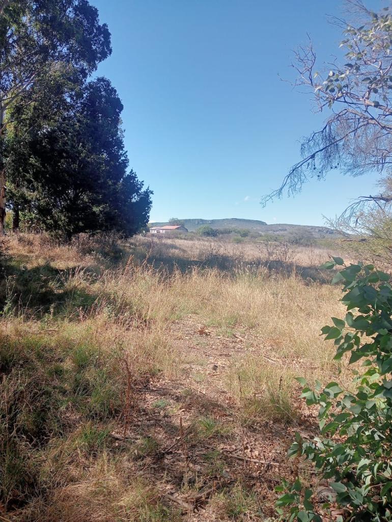 Terreno Tequisquiapan
